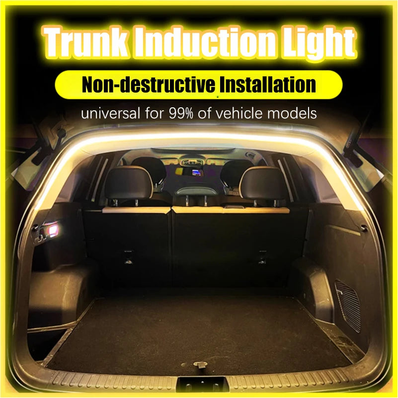 Trunk Induction Light