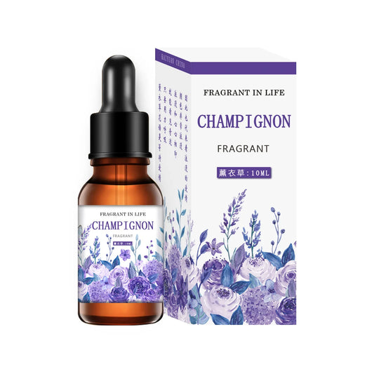 Solar Aircraft Car Perfume Diffuser