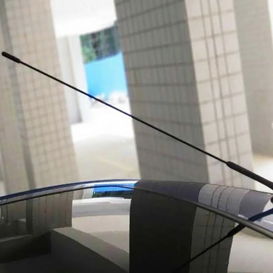 Long Car Antenna
