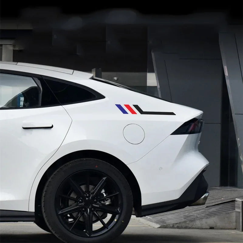 2 autocollants latéraux pour carrosserie de voiture.
