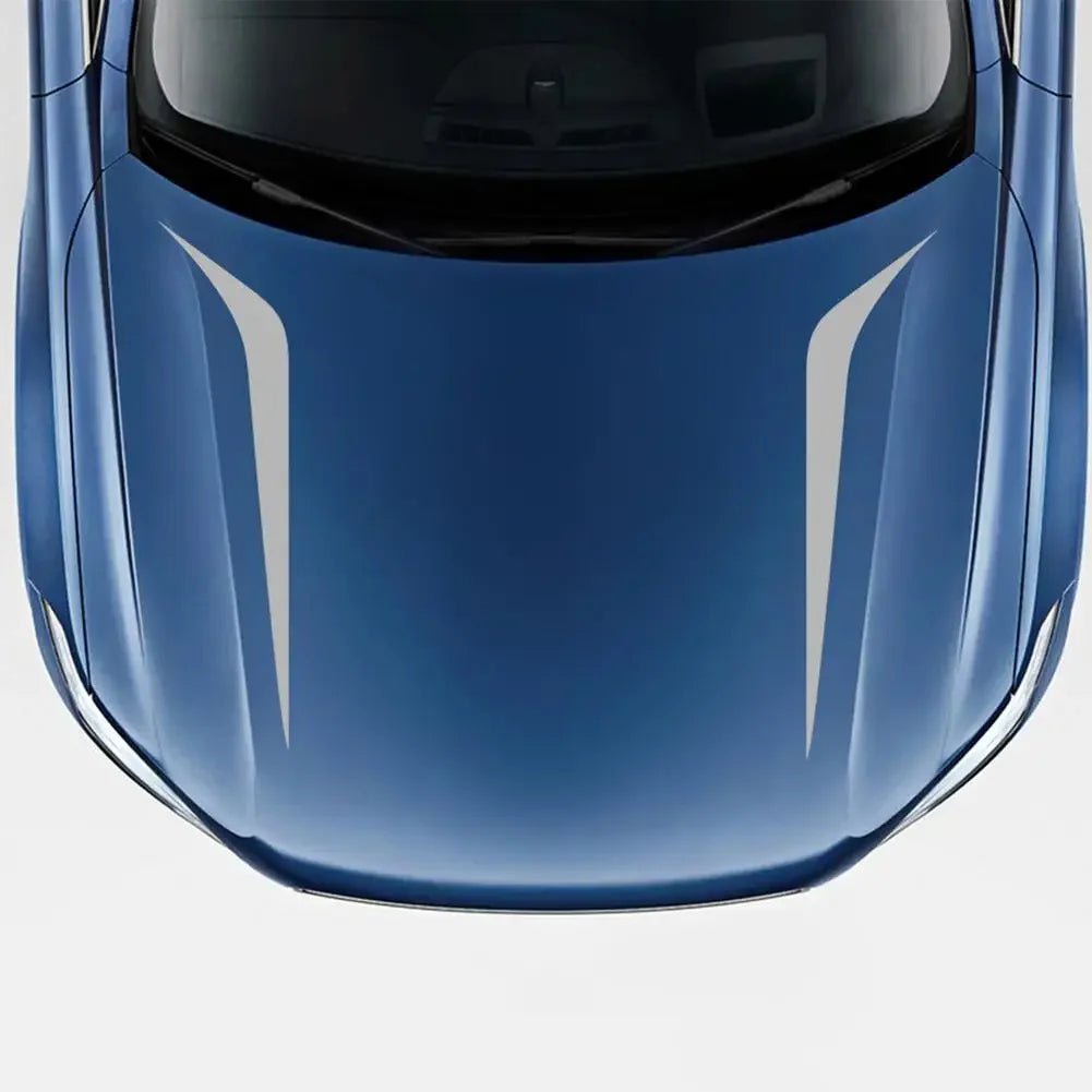 Long Stripe Car Stickers 