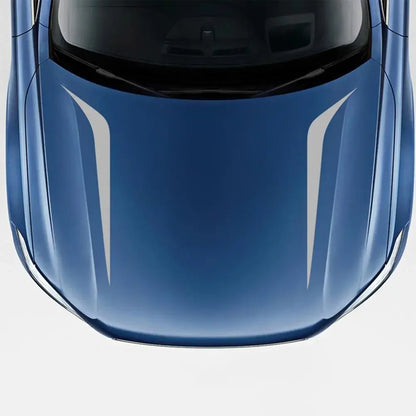 Long Stripe Car Stickers 